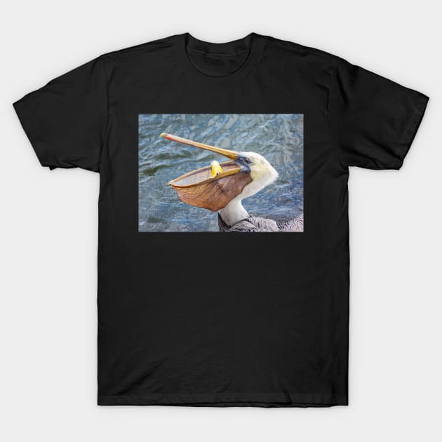 Pelican Lunch T-Shirt by JeffreySchwartz